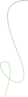vector