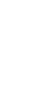 vector